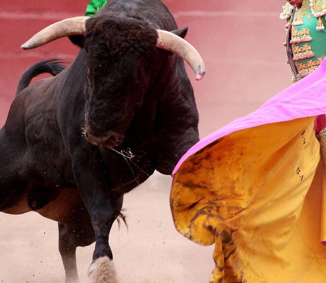 Facebook quita alusión a los toros al denunciar foto