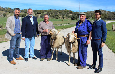 Pajarito y Chiquitín se preparan ante el inminente Gran Cortejo de Mondas 2015