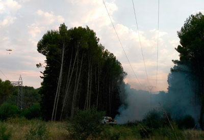 Un incendio en las inmediaciones de la Subestación de Azután afecta a 12.000 metros cuadrados de pasto y pinos propiedad de Iberdrola