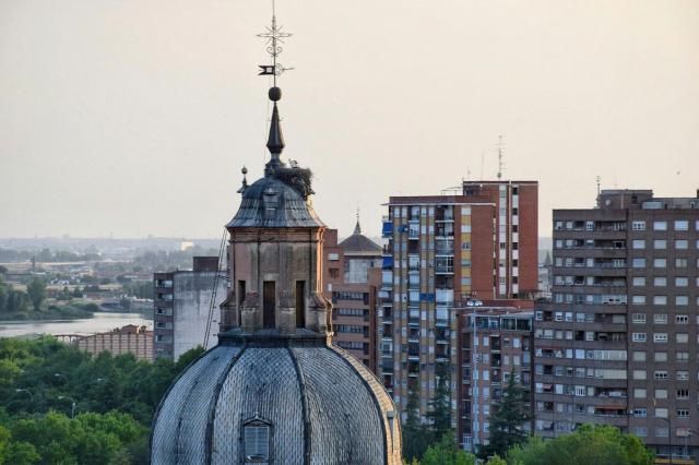 La Comisión de la Villa rechaza los nidos de cigüeña en la basílica del Prado