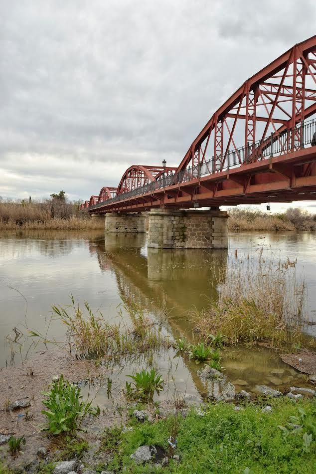 Río Tajo a su paso por Talavera 