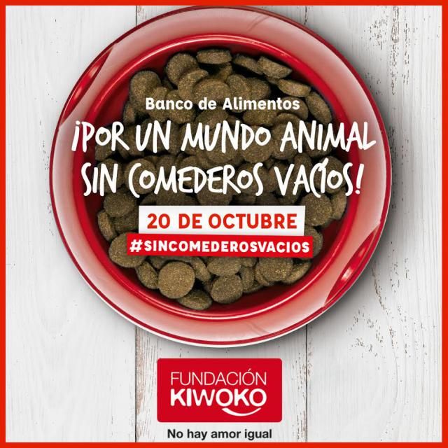 Kiwoko Talavera recoge alimentos para que ninguna mascota tenga el 'comedero vacío'