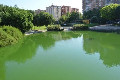 El Ayuntamiento retira las algas del lago de La Alameda tras la polémica por su mantenimiento