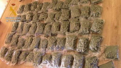 Desmantelan 2 plantaciones de marihuana con 3.589 plantas y detienen a 5 personas