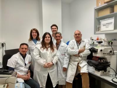 Un grupo de investigación de la UCLM obtiene en Estados Unidos una patente sobre sordera