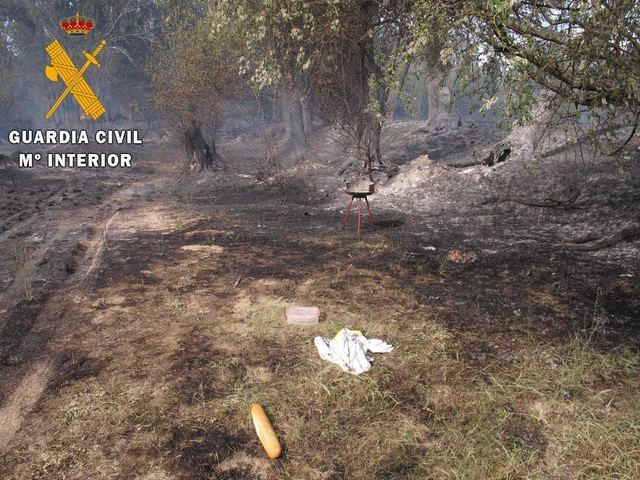 Una barbacoa, causa del incendio forestal de Santa Cruz del Retamar