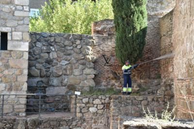 TALAVERA | Las pintadas las pagamos todos: limpieza en monumentos y edificios (fotos)