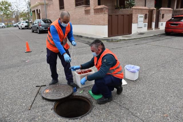 TALAVERA | El Ayuntamiento refuerza el tratamiento contra ratas