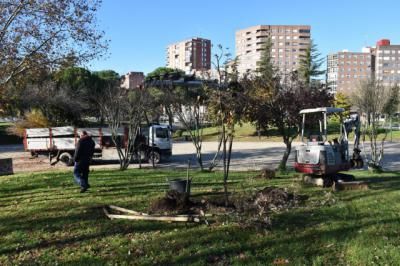 TALAVERA | Cerca de 11.000 árboles ‘censados’ de 82 especies diferentes