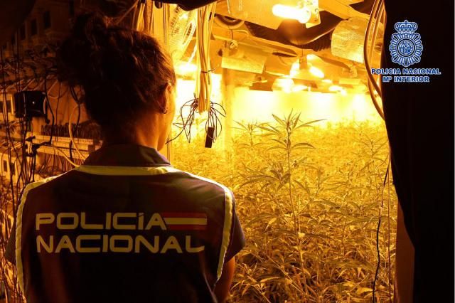 Encuentran una 'megaplantación' de marihuana oculta en una nave del Polígono de Toledo