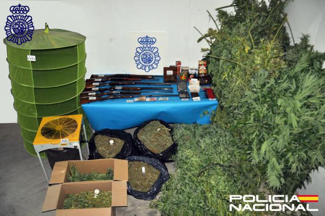 Pillado con diez kilos de cogollos de marihuana y 7 rifles