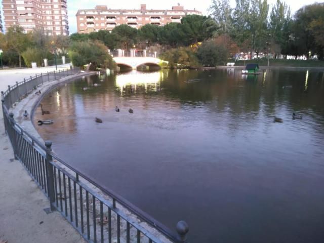 Vacían el lago de La Alameda para reparar las grietas producidas por las raíces de un árbol