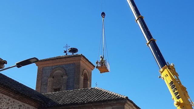 Mejorada y Ardeidas protegen a la cigüeña blanca