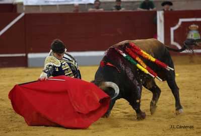 Alejandro Chicharro corta dos orejas y se corona en la primera novillada del Alfarero de Oro 2024