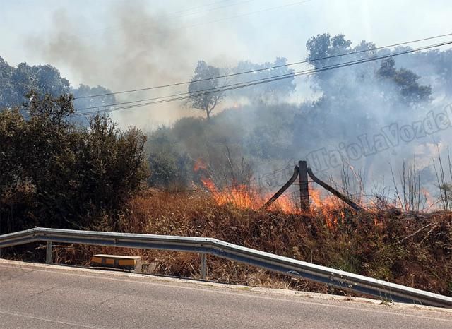 Incendio en el embalse de Cazalegas