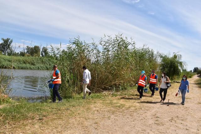 TALAVERA | El Ayuntamiento sigue luchando para evitar nuevas plagas de mosquitos