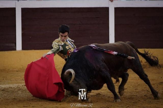 TOROS | Tomás Rufo elegido 'Mejor novillero de la Gira de la Reconstrucción'