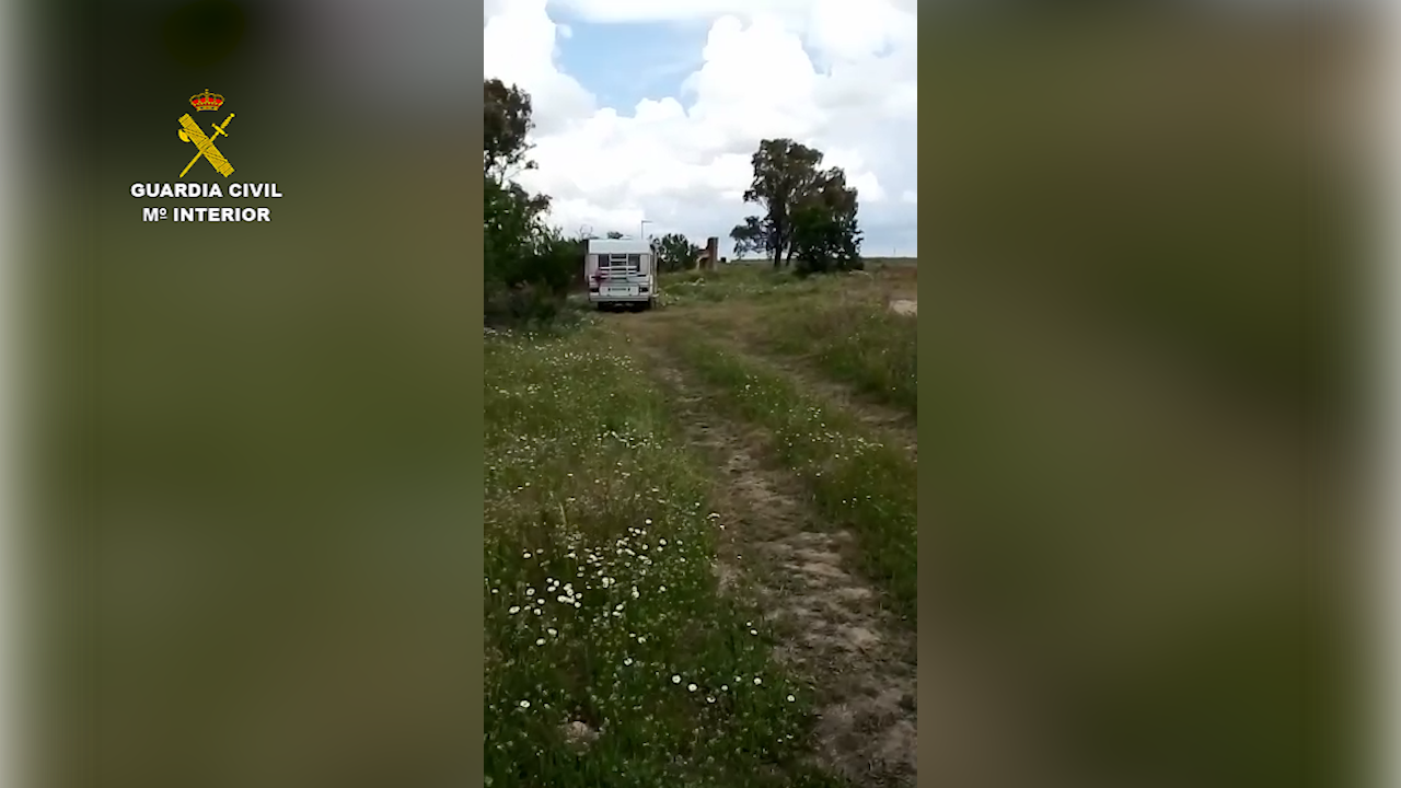 CONFINAMIENTO | Curioso caso: de Móstoles a Fuensalida en caravana para descansar junto a un nido de águila imperial ibérica