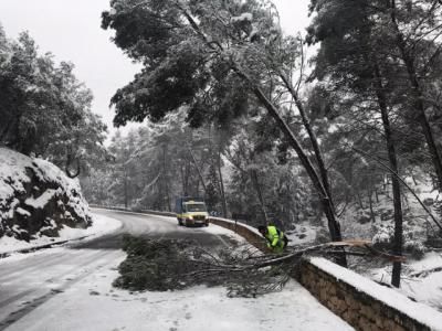 NIEVE | Más de 180 incidencias en carreteras y calles de la provincia toledana