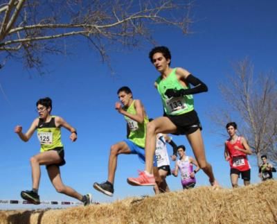 TORRIJOS | El atleta Álvaro Ramírez, en el XXXIII Campeonato Regional Campo a Través 
 