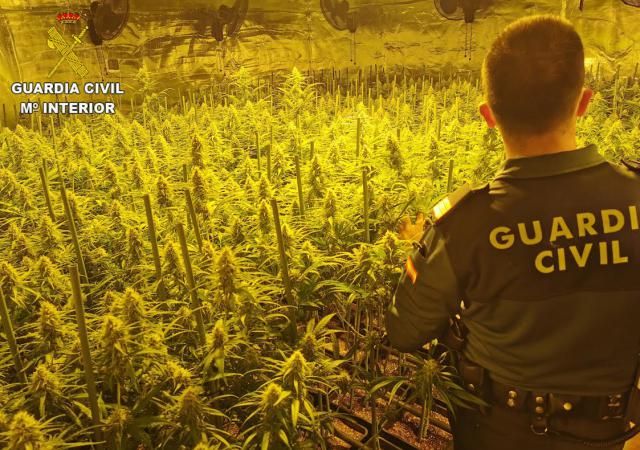 Golpe al cultivo de marihuana en tres pueblos de Toledo