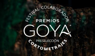 Los talaveranos Premios Pávez, colaboradores de los Goya