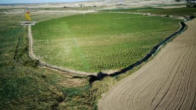 ¡135.000 plantas! El mayor cultivo de marihuana de Europa está en un pueblo de Toledo