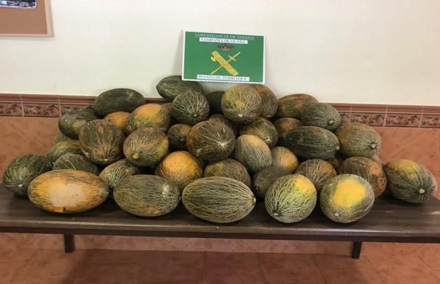 Investigan a dos varones y una menor por el hurto de 20.000 kilos de melones