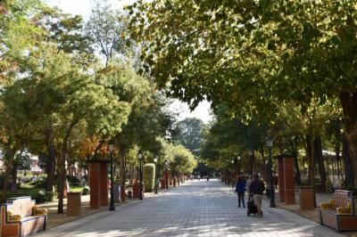 El Ayuntamiento tapa "provisionalmente y por seguridad" algunos alcorques en calles de Talavera