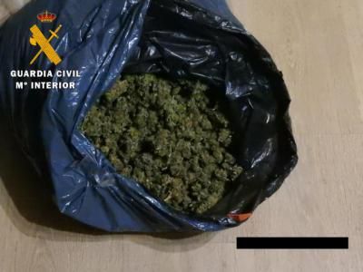 La Guardia Civil incauta 2.000 plantas de marihuana en tres viviendas de la provincia de Toledo