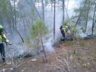 PLAN INFOCAM | Eres esencial en la lucha y prevención de incendios forestales