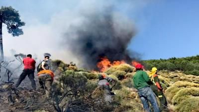 Cuatro comunidades luchan contra el incendio forestal en Sotillo de la Adrada