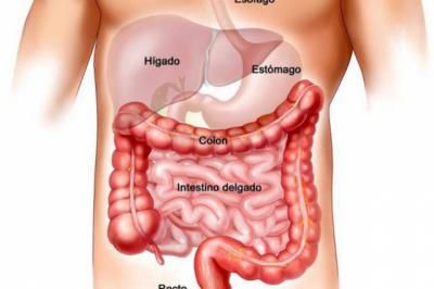 Cerca del 25% de las consultas de aparato gigestivo se deben al Síndrome del Intestino Irritable