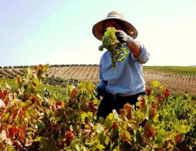 Unión de Uniones denuncia que las pensiones del medio rural son un 41,2% más bajas