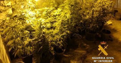 La Guardia Civil detiene a cuatro personas e interviene 35 kilos de marihuana