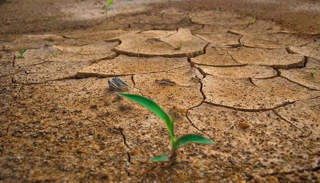 UPA CLM: 'La preocupación por el clima empieza a hacer mella en los agricultores'