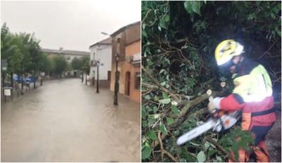 Calles anegadas, árboles caídos... el temporal causa estragos en municipios de Toledo