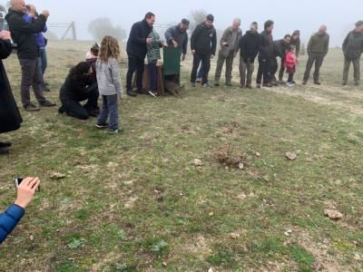 El lince ‘Quejigo’, liberado hoy en una finca de Villarejo de Montalbán, es el tercer ejemplar de los cinco que este año se reintroducen en Los Montes de Toledo