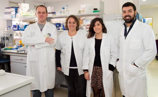 Profesionales de Parapléjicos avanzan en una nueva terapia para la esclerosis múltiple