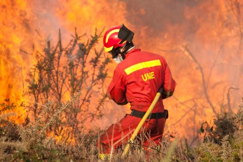 Unidad Militar de Emergencias