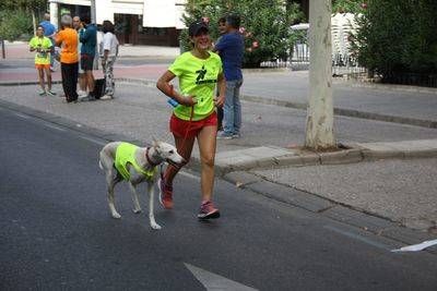 La V Carrera Solidaria Fundación Caja Rural CLM en imágenes