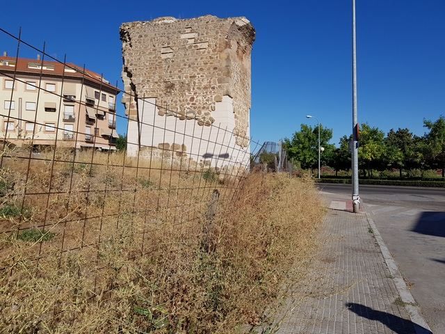 Estado de abandono del yacimiento talaverano de Entretorres