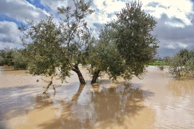 Eurocaja Rural organizará un gran encuentro sobre cambio climático