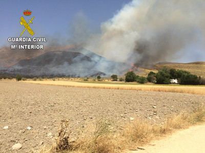 El incendio forestal de Driebes pudo ser provocado