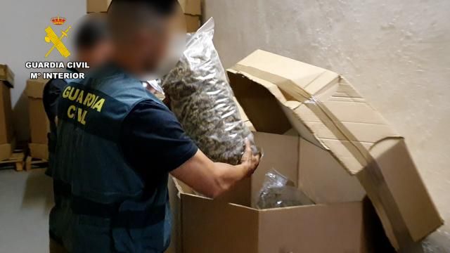 Incautan el mayor alijo de marihuana descubierto hasta el momento a nivel internacional