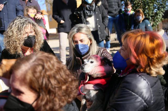 Toledo vuelve a celebrar la tradicional bendición de los animales