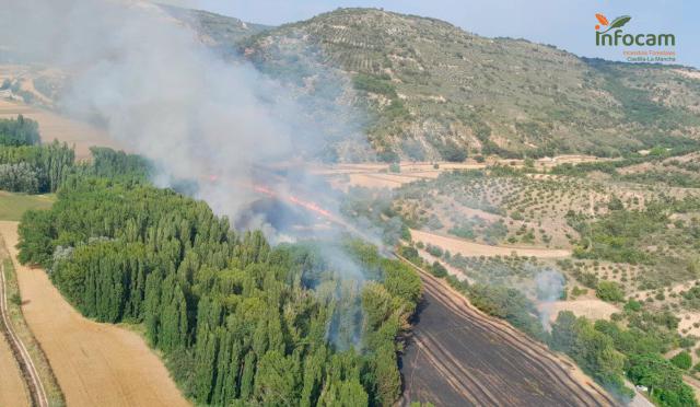 Incendio en Tomellosa, pedanía de Brihuega - INFOCAM