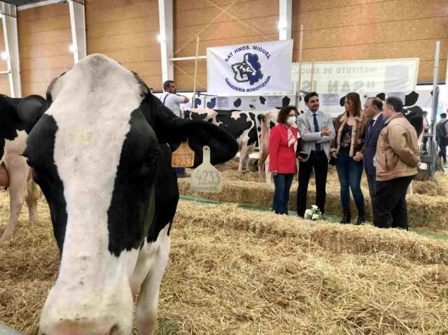 Gregorio critica la 'hipocresía' del PSOE que 'solo busca la foto en el Open de Ganado'