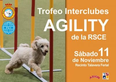 Talavera Ferial albergará un espectacular Trofeo Interclubes de Agility