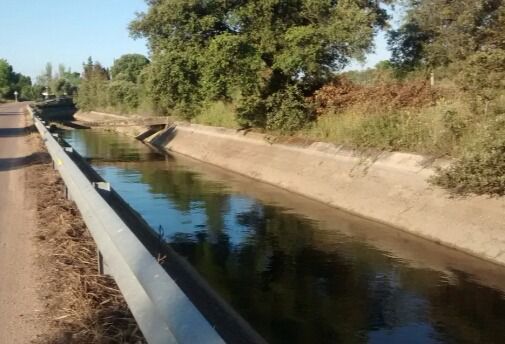 CLM quiere tener 'más fuerza' en la lucha por el agua y estudia crear una Federación de Regantes regional